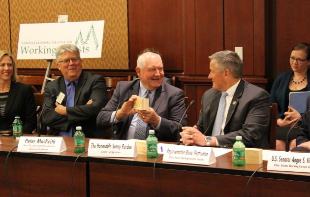 Working Forests Caucus Hosts Secretary Perdue, Panelists to Discuss Timber Innovation